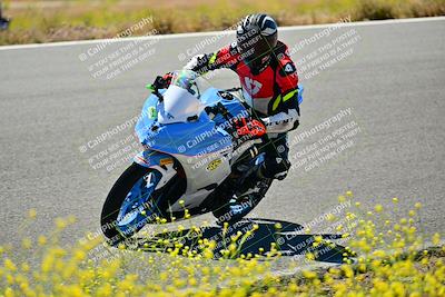 media/May-10-2024-2WTD (Fri) [[c88d7990af]]/Group C/Session 2-The Bowl/